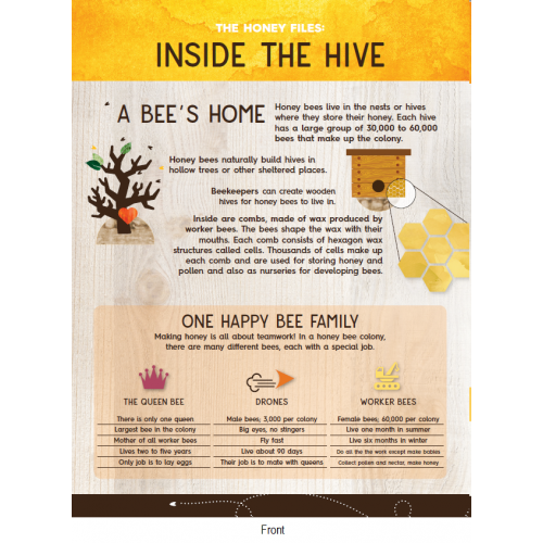 Inside the Hive Activity Sheet
