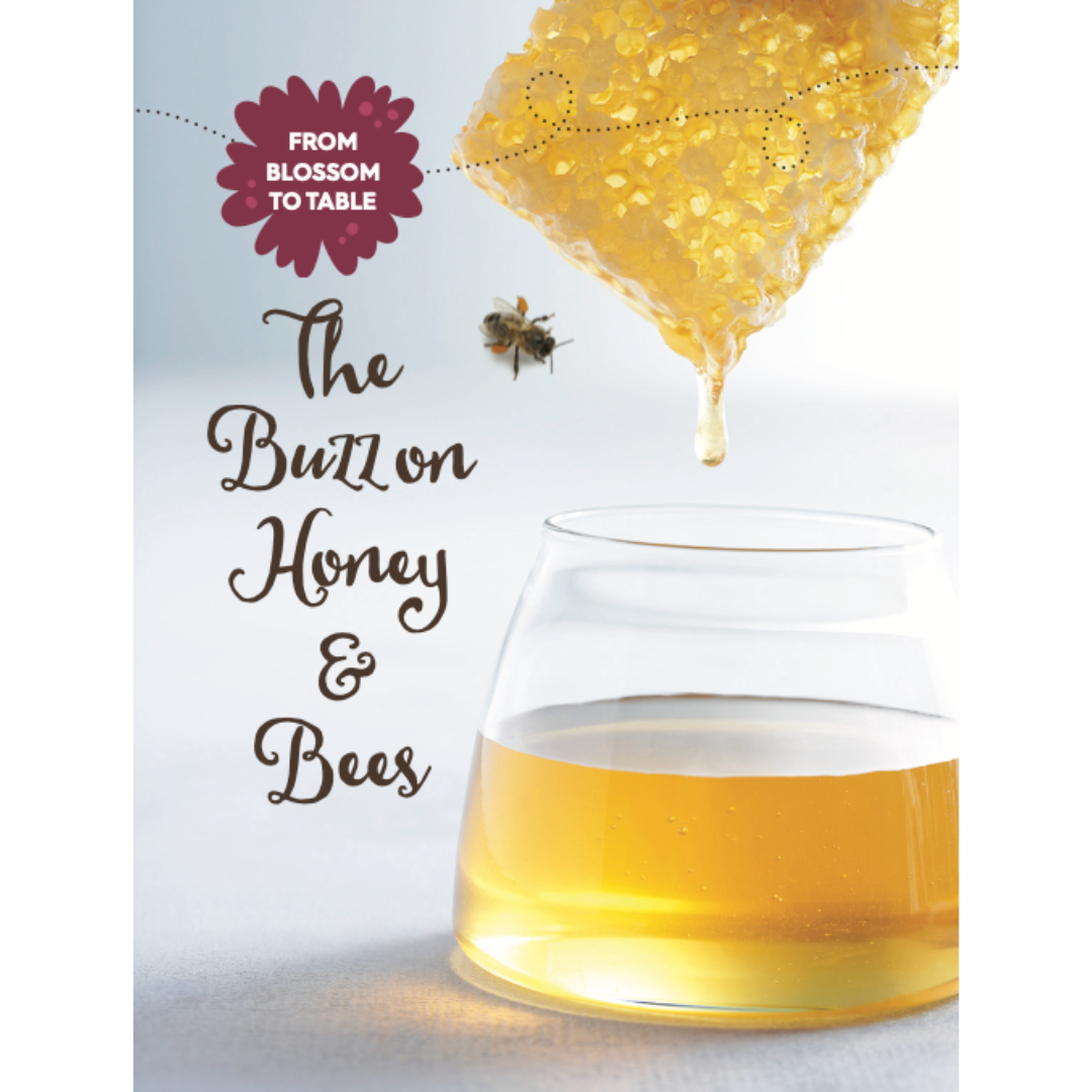Honey + Bees Kids Brochure